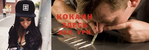 гидра Лагань