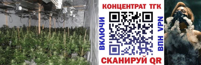 Купить Качканар Дистиллят ТГК гашишное масло