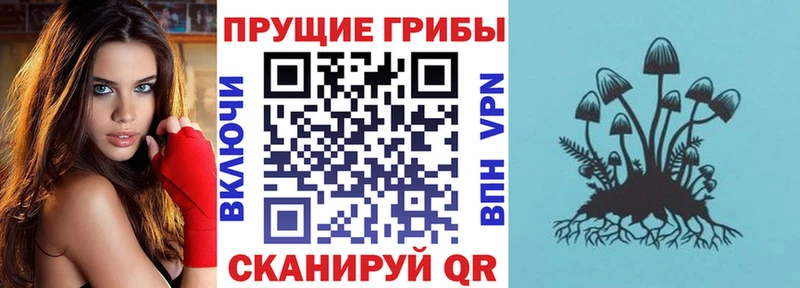 Купить  Качканар  Псилоцибиновые грибы ЛСД 